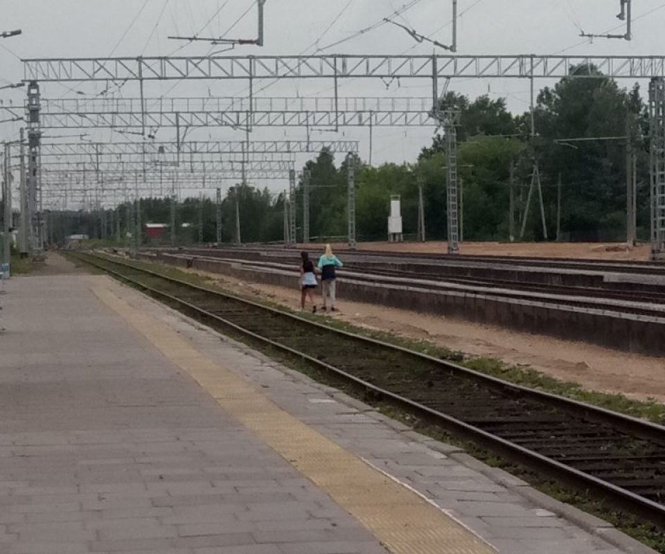zh.jpg